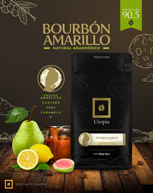 Café de especialidad burbon amarillo natural Anaeróbico